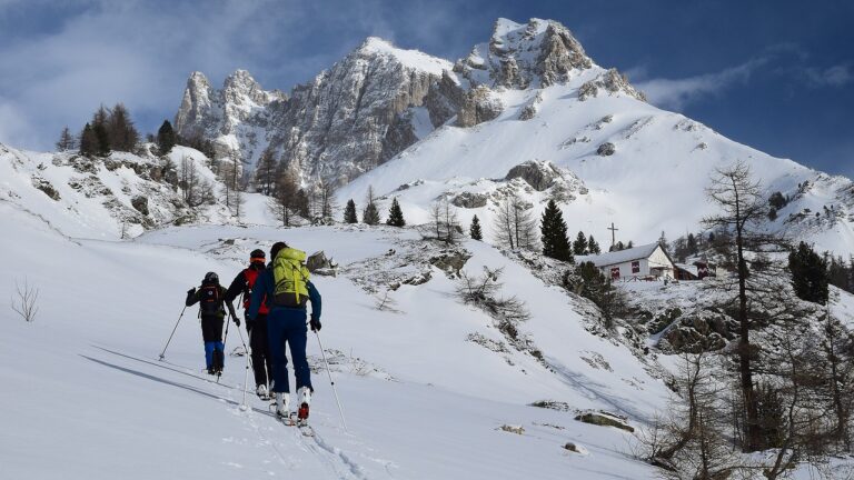 The French Alps